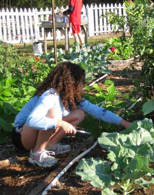 childrens vegetable gardens